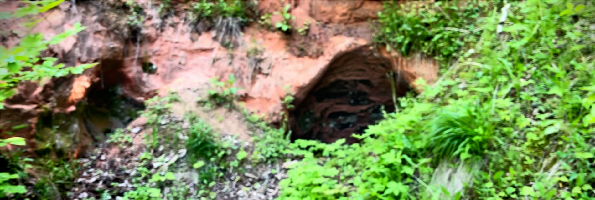 Pēdās